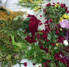 Récupération de fleurs et végétaux
