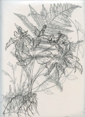Vanishing flowers