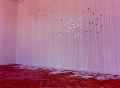 Life lines / lignes de vies