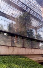 "Breathing Space" La serre australe, Parc André-Citröen, Paris 2002