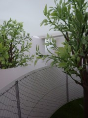 WhiteBox@Michael Gibson Gallery, London Ontario, Canada 2011